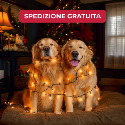 Luci di Natale Classiche